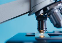 W-maturalni-2025-04 - maturalni_kurs maturalny biologia_25_2.jpg