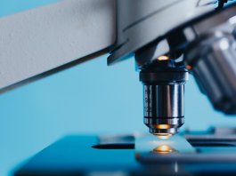 W-maturalni-2025-04 - maturalni_kurs maturalny biologia_25_2.jpg