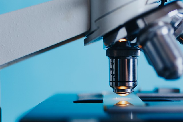 W-maturalni-2025-04-maturalni_kurs-maturalny-biologia_25_2 W-maturalni-2025-04 - maturalni_kurs maturalny biologia_25_2.jpg