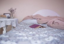 Koc bawełniany w domu ze zwierzętami – naturalny tekstyl jako część codziennej przestrzeni wspólnej koc bawełniany 3.jpg